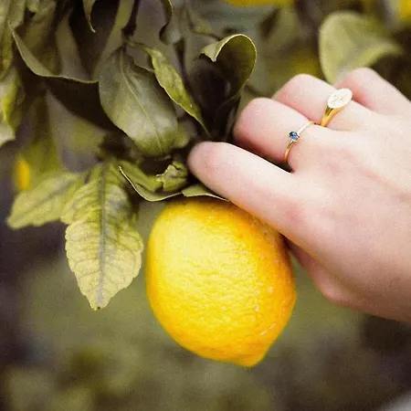 Casa Do Cabeco Alombada Águeda