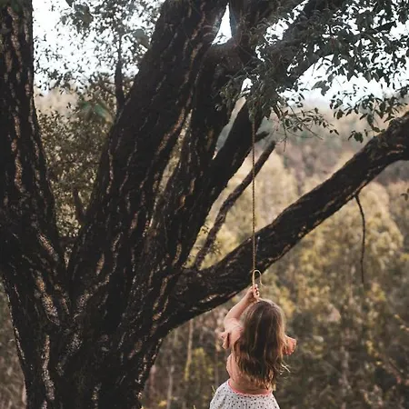 Séjour chez l'habitant Casa Do Cabeço Alombada Águeda