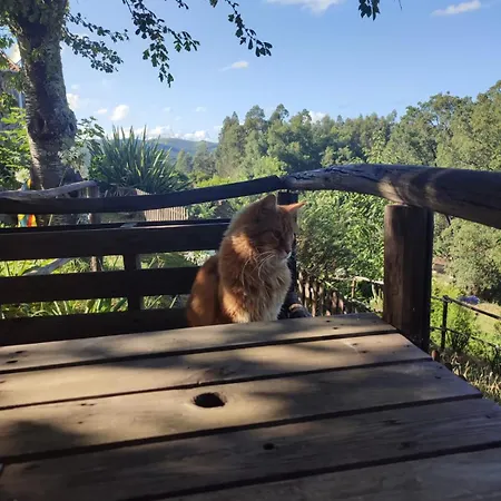 Casa Do Cabeco Alombada Проживание в семье *