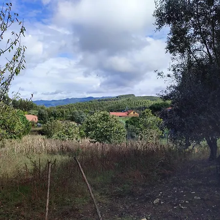 Casa Do Cabeco Alombada Rum i privatbostad Águeda