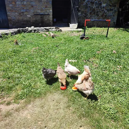 Rum i privatbostad Casa Do Cabeco Alombada Águeda