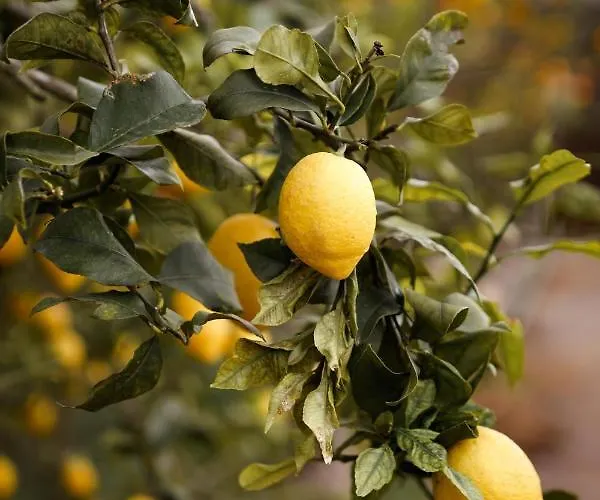 Casa Do Cabeco Alombada