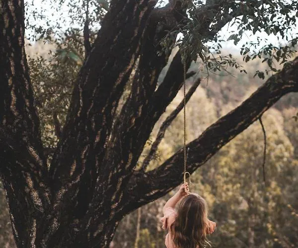 Ubytování v soukromí Casa Do Cabeco Alombada Águeda