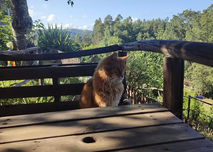 Casa Do Cabeco Alombada منزل للإقامة *