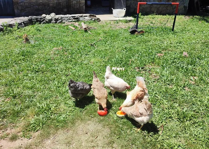 Ubytování v soukromí Casa Do Cabeco Alombada Águeda